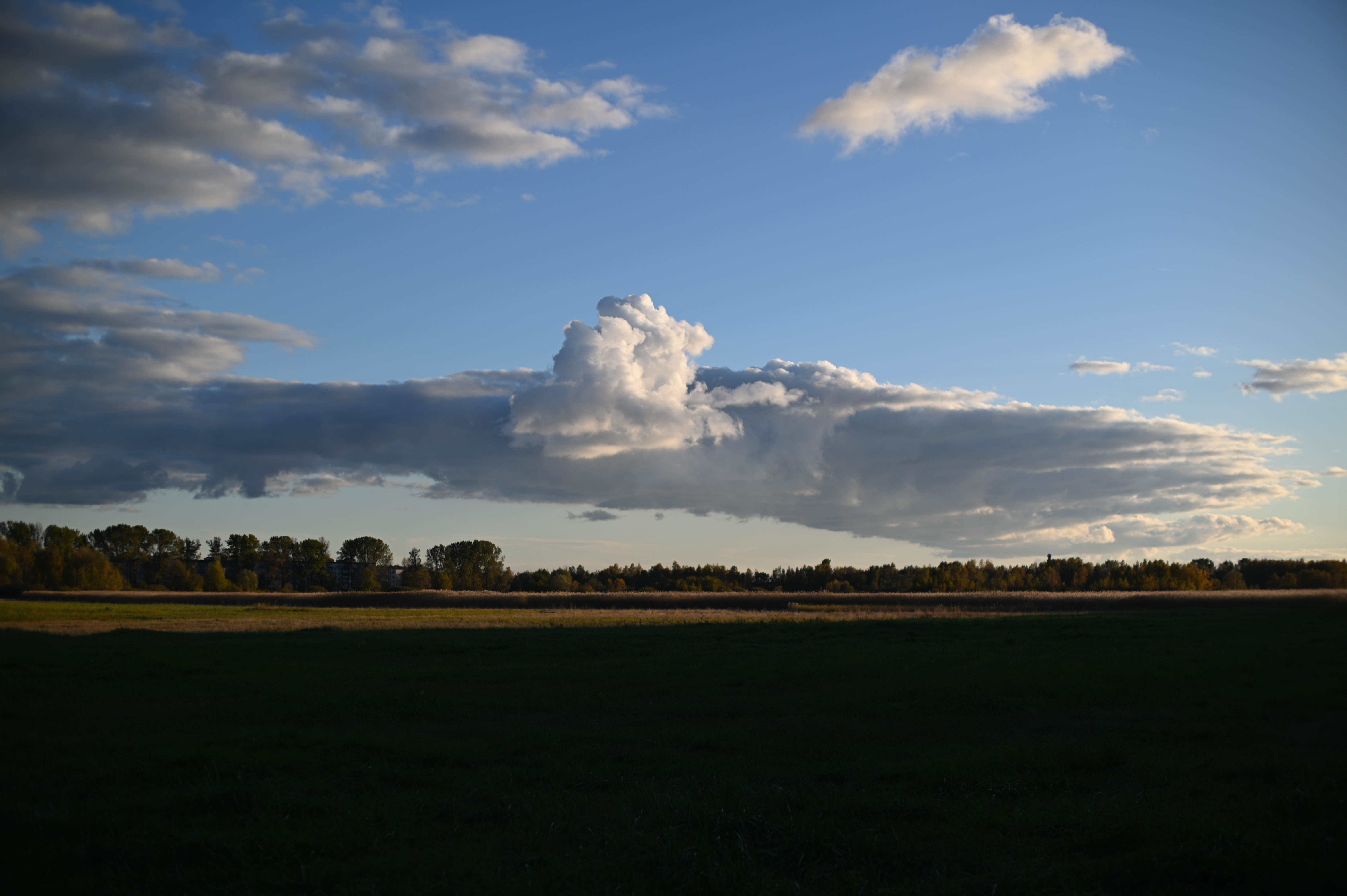 2025/10/18 - walk/DSC_0193.JPG